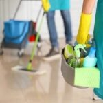 Green Cat Consulting