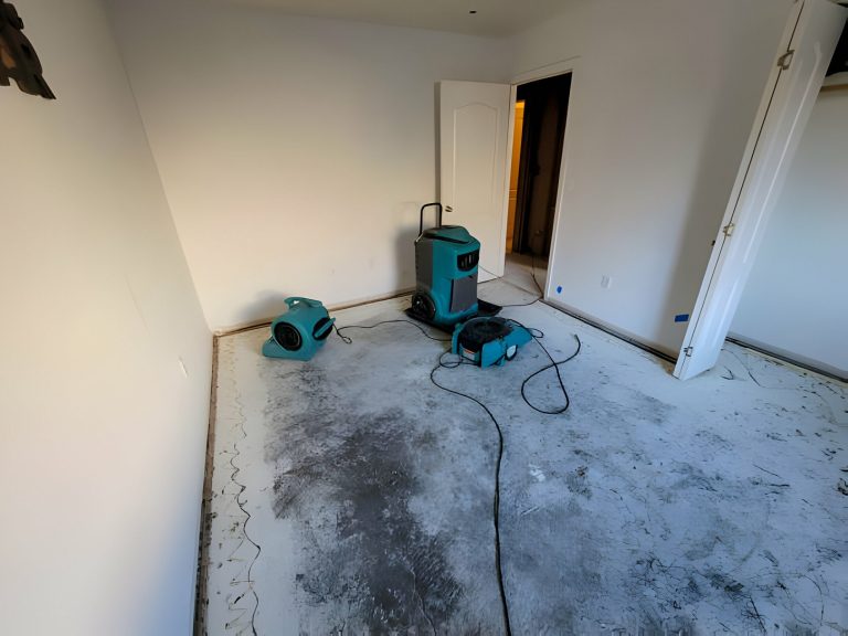 Water Damage Restoration