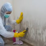 Mold remediation