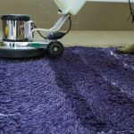 Carpet Cleaning Berwick